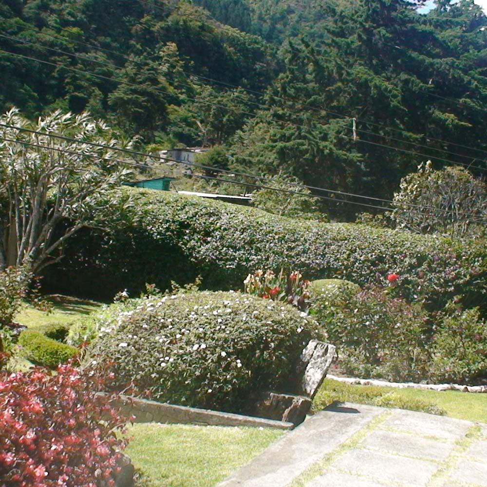 Panama Bambito Estate